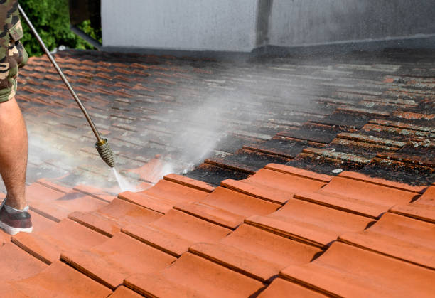 Best Power Washing Near Me  in St Leon, IN