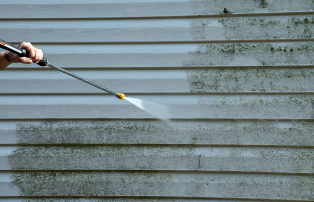 Best Fence Pressure Washing  in St Leon, IN