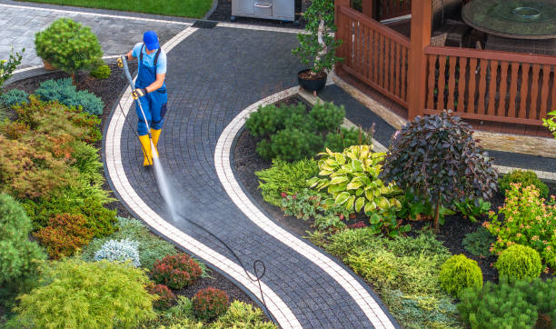 Best Residential Pressure Washing Services  in St Leon, IN